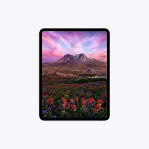 Ipad Pro M5 11 Inch